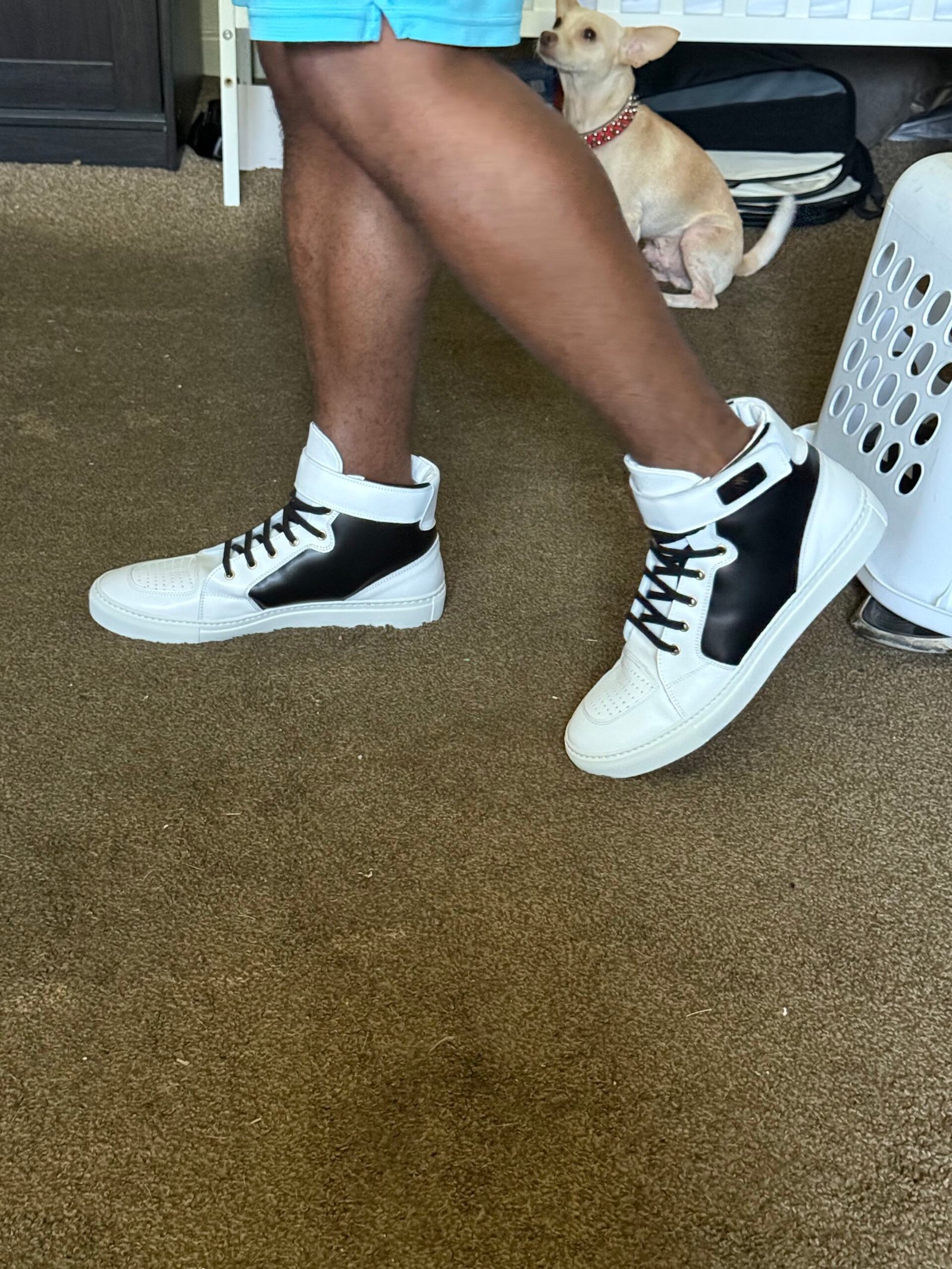 sneaker2