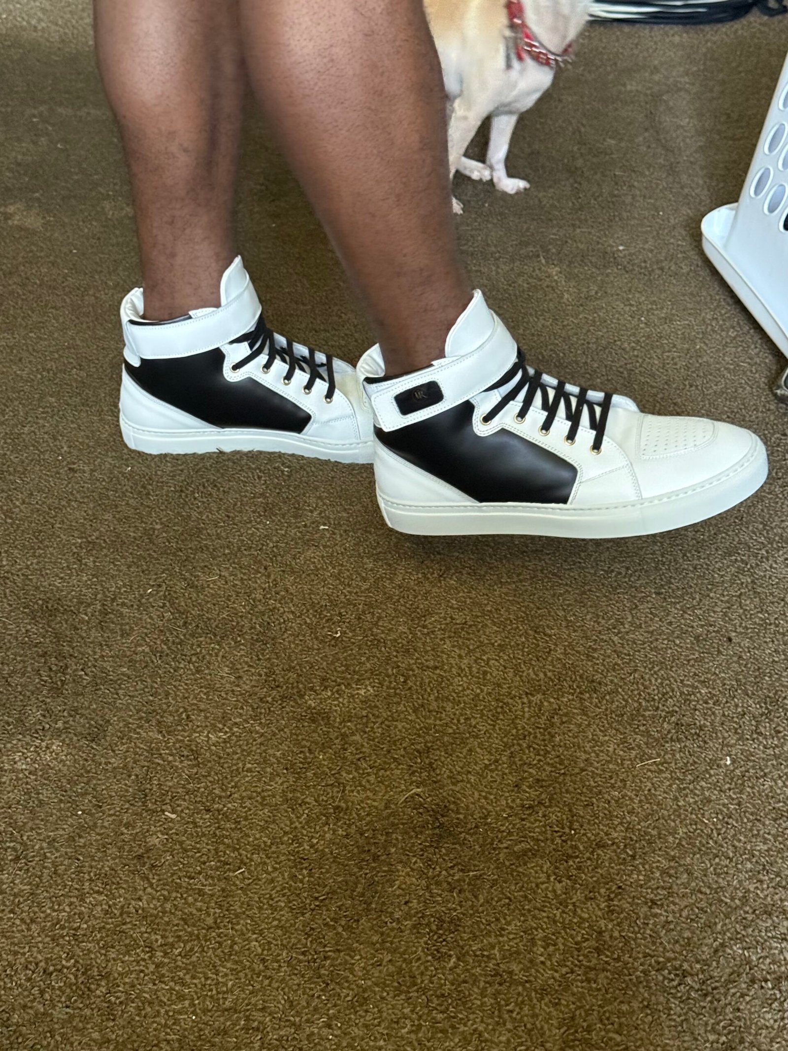 sneaker3