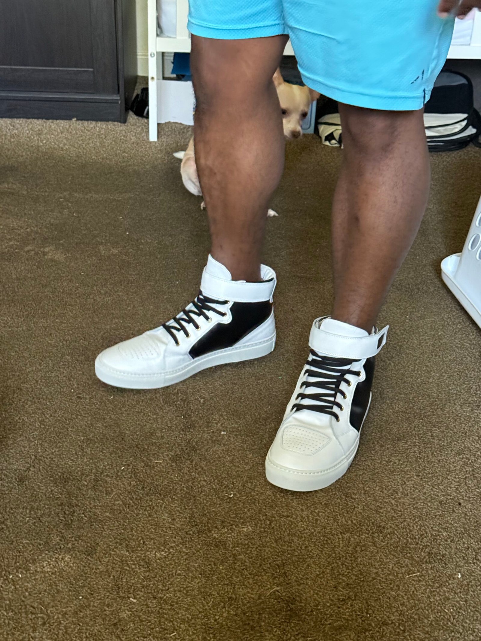 sneaker5